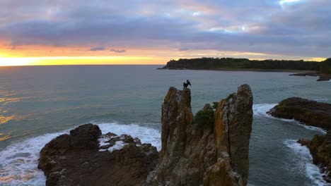 orbiting aerial slow motion view of cathedral rocks and cormorants near kiama downs at sunrise, nsw, australia