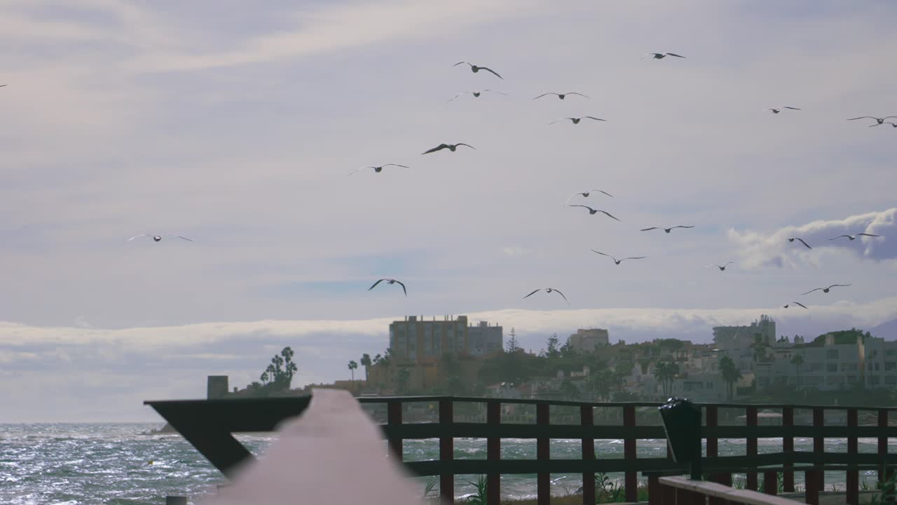 Silhouette of flock of seagulls flying away in slow motion on the coastline of Calahonda, Mijas, Andalusia, Spain