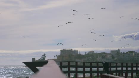 silhouette of flock of seagulls flying away in slow motion on the coastline of calahonda, mijas, andalusia, spain