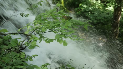 close up: waterfall in the forest near the plitvice lakes in croatia