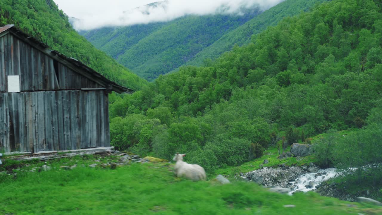 Letnie sceny z Aurland. Sogn og Fjordane, Norwegia
