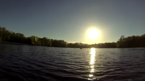 boat-mounted forward trucking shot advances towards cypress knees in mid-river.. sun, low on horizon, casts gleaming reflections on rippling water.