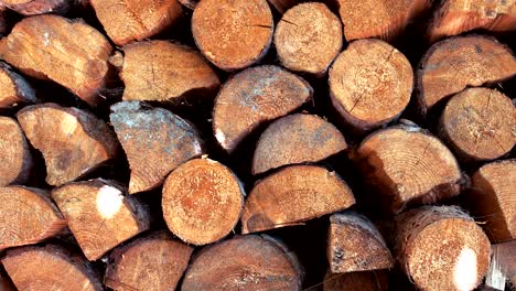 wooden pile logs closeup panning movement in sunny day