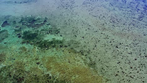 aerial view of askimsbadet beach's clear waters in gothenburg, sweden