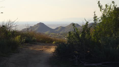 Fauna-Del-Parque-Nacional-Boney-Mountain,-California.-Enero-2019