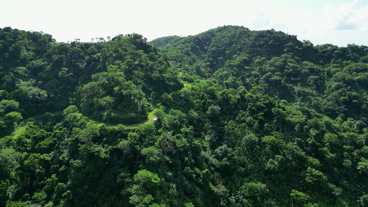 montañas siempre verdes densamente cubiertas de bosques en baras, provincia de catanduanes, filipinas
