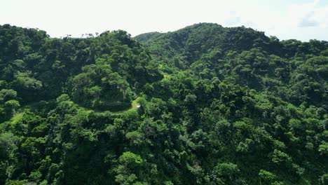 evergreen mountains densely covered with forests in baras, catanduanes province, philippines