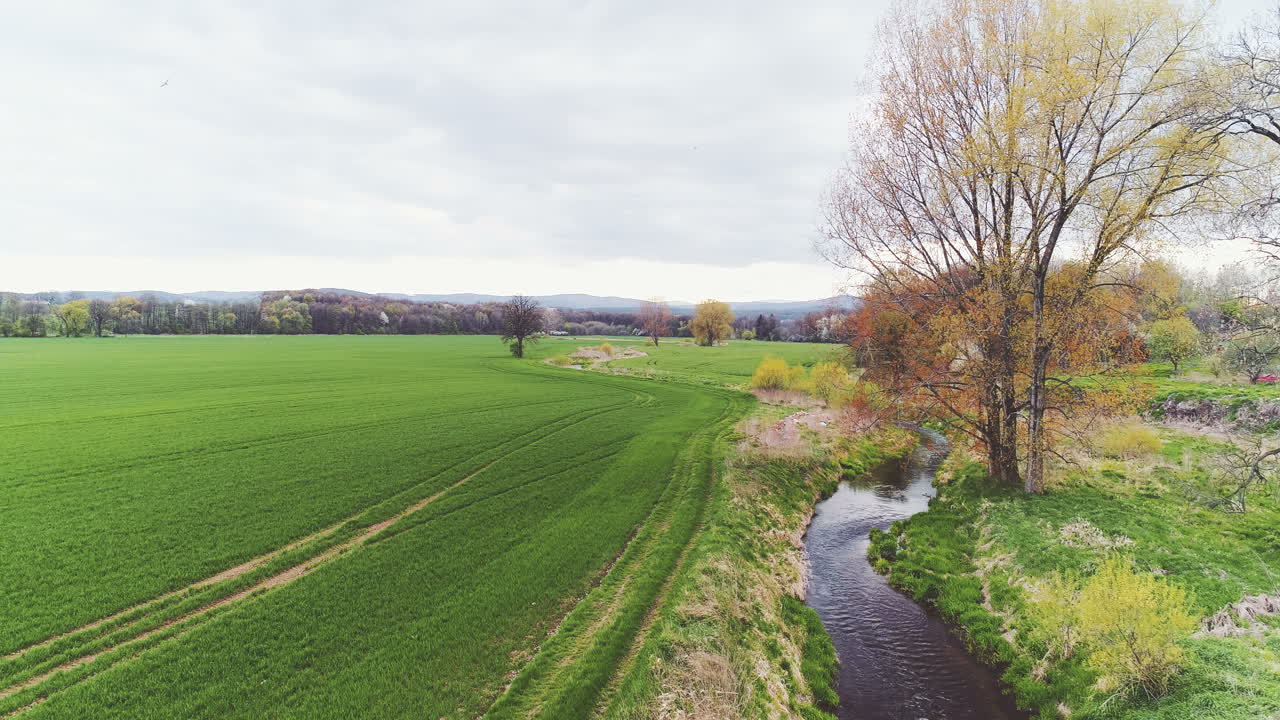 녹색 숲 공중 촬영 2 산 강