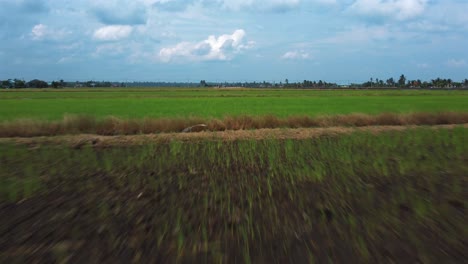 Green-paddy-field,-low,-closeup-fast-smooth-forward-drone-shot-with-construction