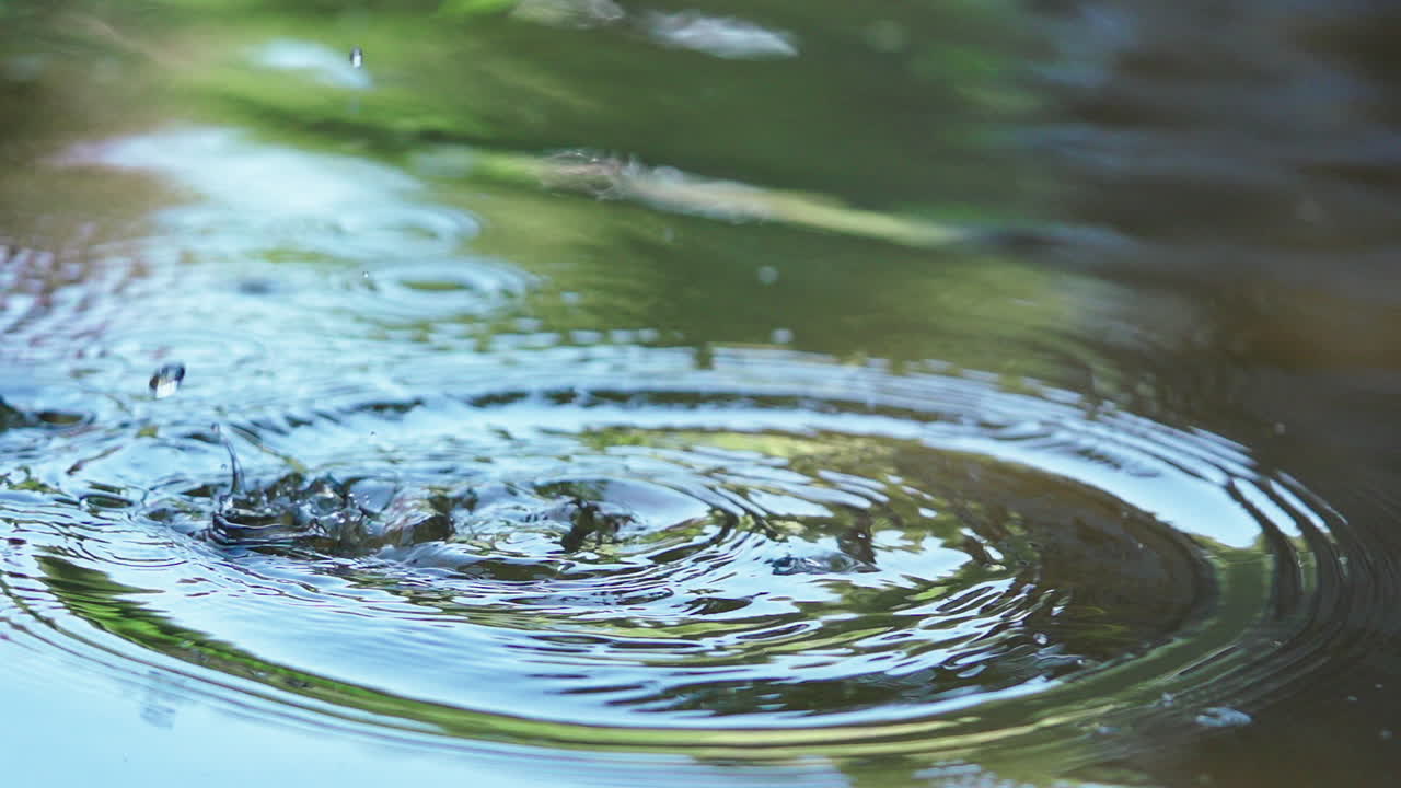 결혼 반지가 물에 빠지다