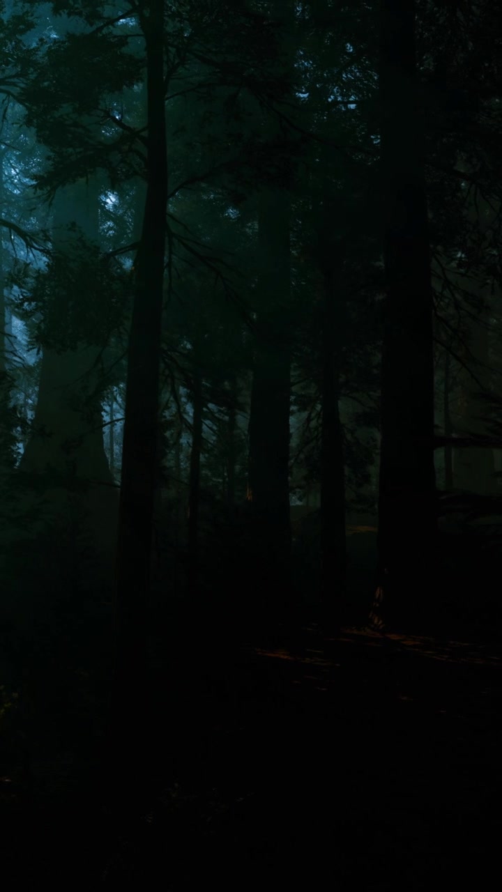 Foresta mistica avvolta in una fitta nebbia crea un'incantevole scena naturale