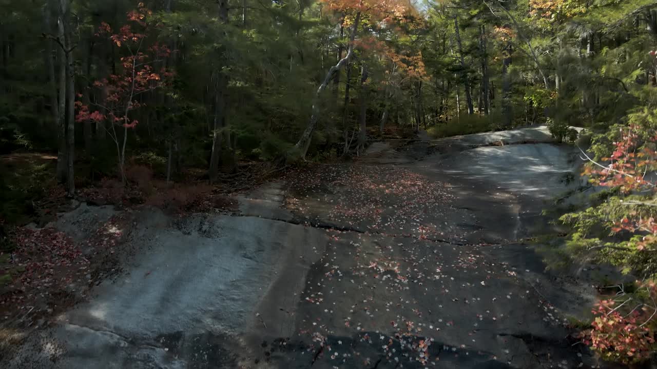 미니 폭포에서 나무 위로 높이 올라가 산의 단풍을 드러냅니다.