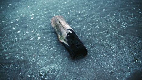 Burnt-Driftwood-Log-Floating-in-Shallow-Beach-Shore-Clear-Water