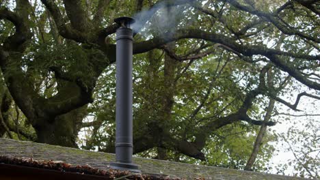 wide shot of a metal flue chimney with light smoke, roof line and large tree behind