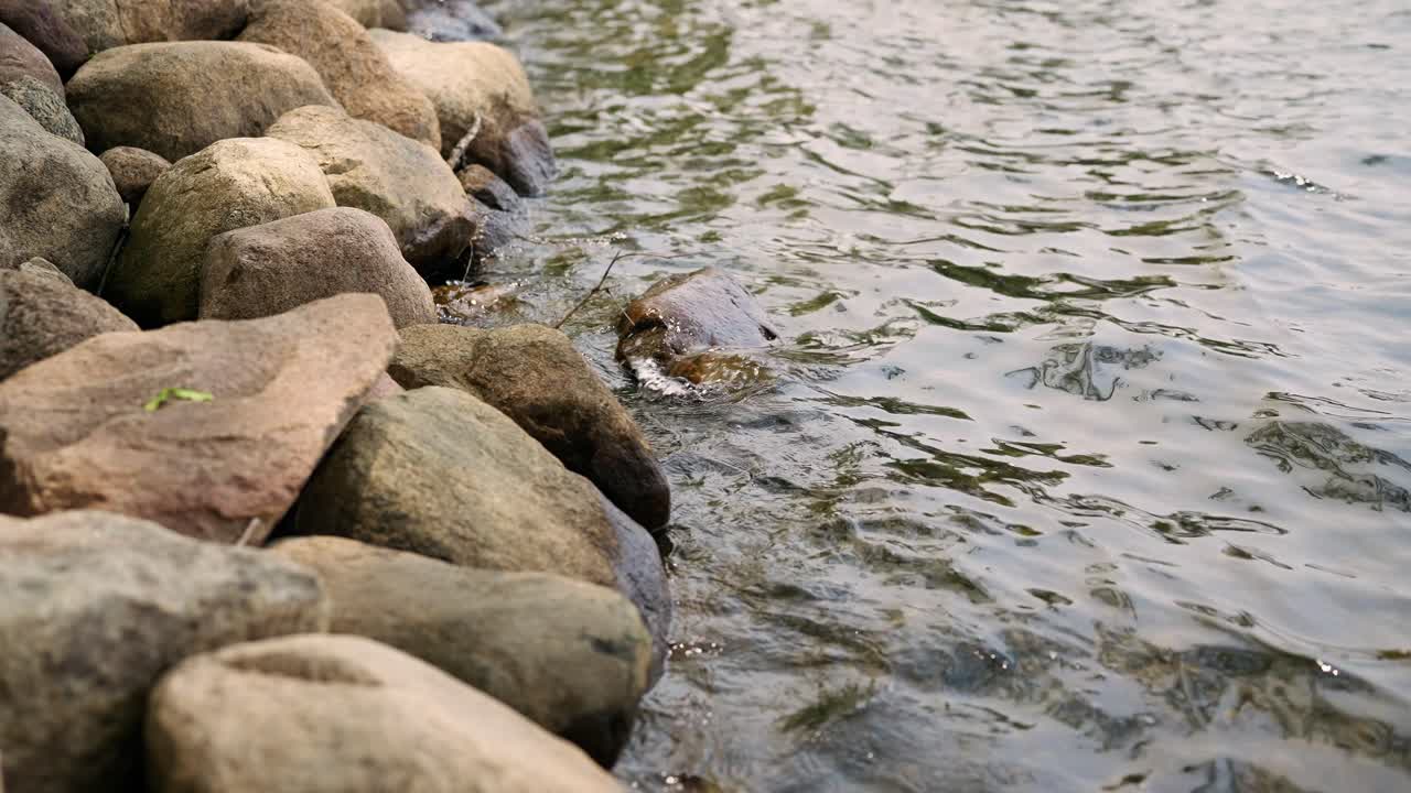 바위 에 부 ⁇ 히는 호수 의 바 ⁇ 가 클로즈업