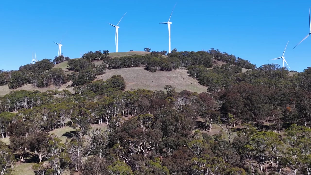 Ampia vista aerea di turbine eoliche che girano su una cresta boscosa nel Nuovo Galles del Sud