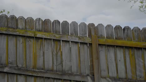 the wooden fence and the sky