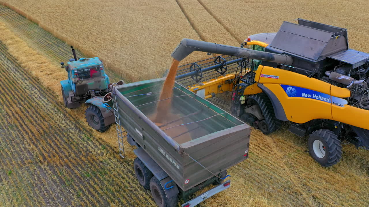 Modern combine harvester unloading grain into the trucks trailer on sunny summer day.