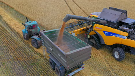 modern combine harvester unloading grain into the trucks trailer on sunny summer day.