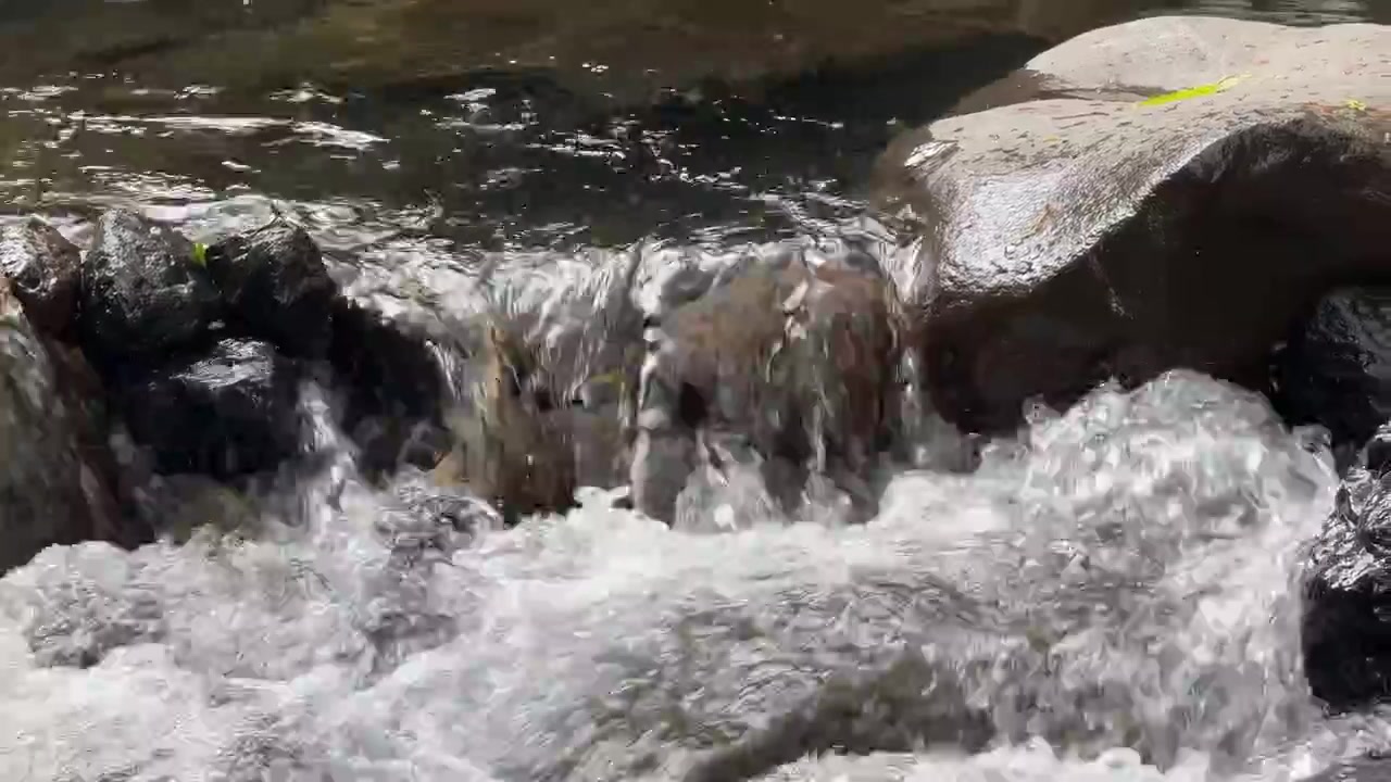 Acqua limpida che scorre sulle rocce in un ruscello di montagna