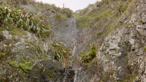 vista de bajo ángulo de una pequeña cascada que fluye por un acantilado en nueva zelanda