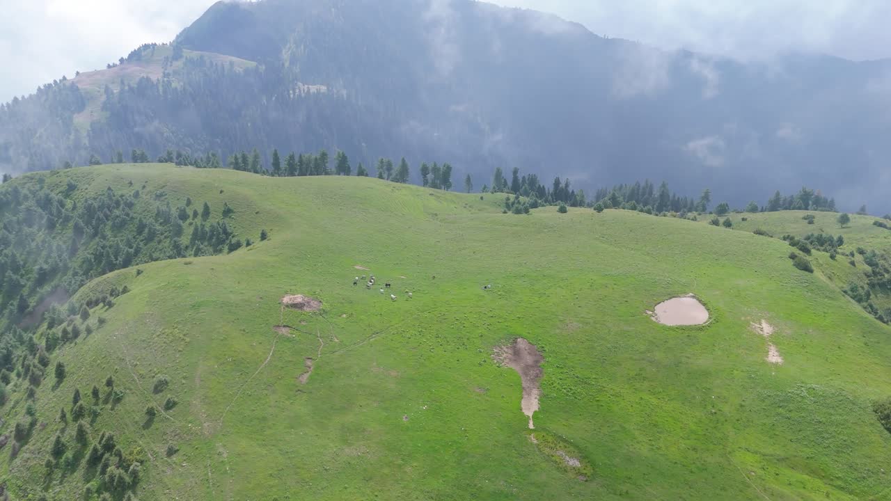 4k Drone Journey of the Unseen Beauty of Kuna Dana Peak Meadow