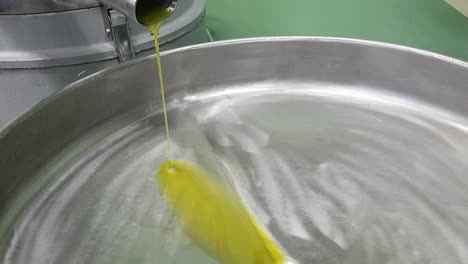 production of fresh pressed olive oil in reggello italy. close up. tuscany , near florence