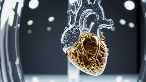 3d glass model of a gold-decorated human heart