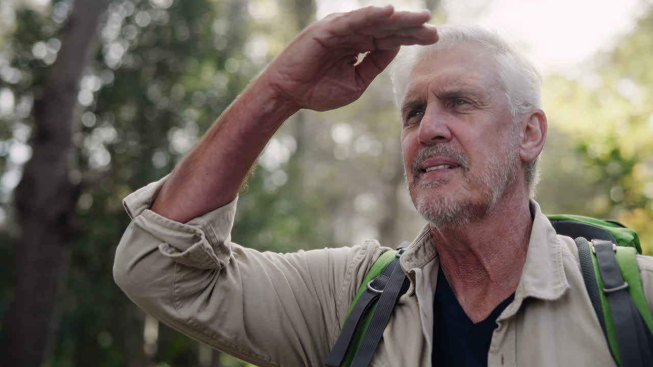 Senior Man Hiking in Forest