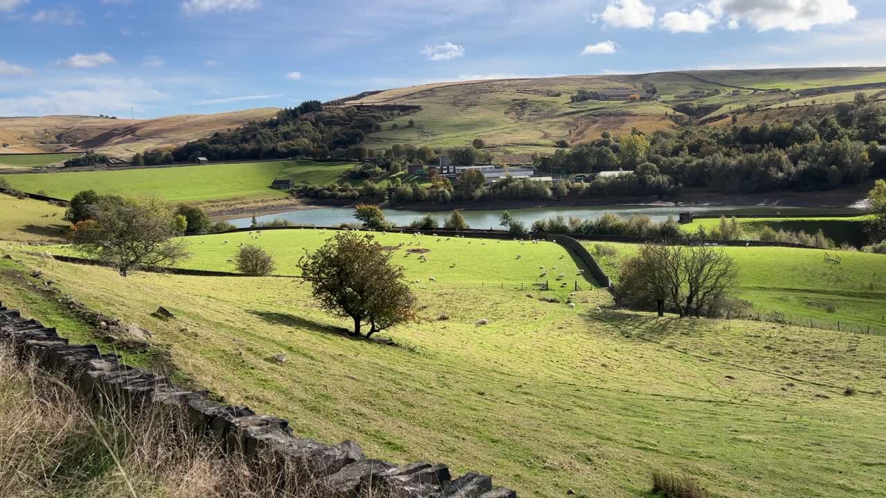 escena de la campiña inglesa con tierras de cultivo, campos, pastos, ovejas pastando, paredes de piedra seca y lago