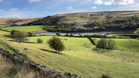 English-countryside-scene-with-farmlands,-fields,-pastures,-grazing-sheep,-drystone-walls-and-lake