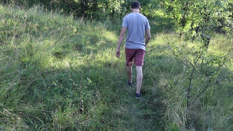 a man walks on a footpath in forest, daytime, summer season