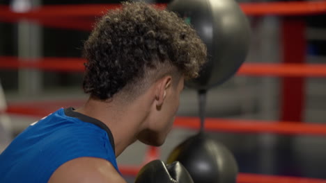 Boxer training with punching bag in ring