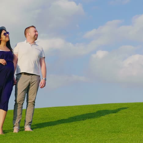The-Husband-With-His-Pregnant-Wife-Is-Walking-Along-The-Green-Meadow-Holding-Hands-1