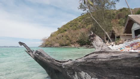 Large-Driftwood-tree-trunk-stranded-on-the-shoreline-of-Koh-Hey-,-Thailand---Wide-Tracking-push-in-shot