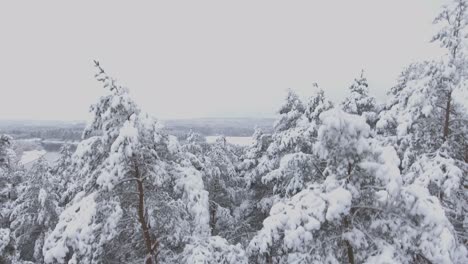 neris river bend during snowy winter-3