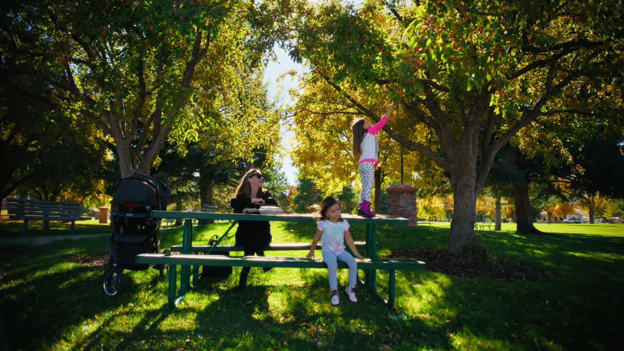 공원에서 가족 피크닉