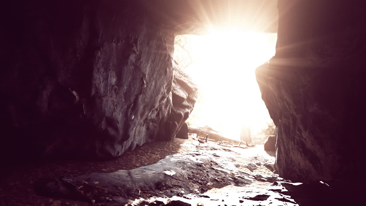 big dark cave and sun light from jungle forest