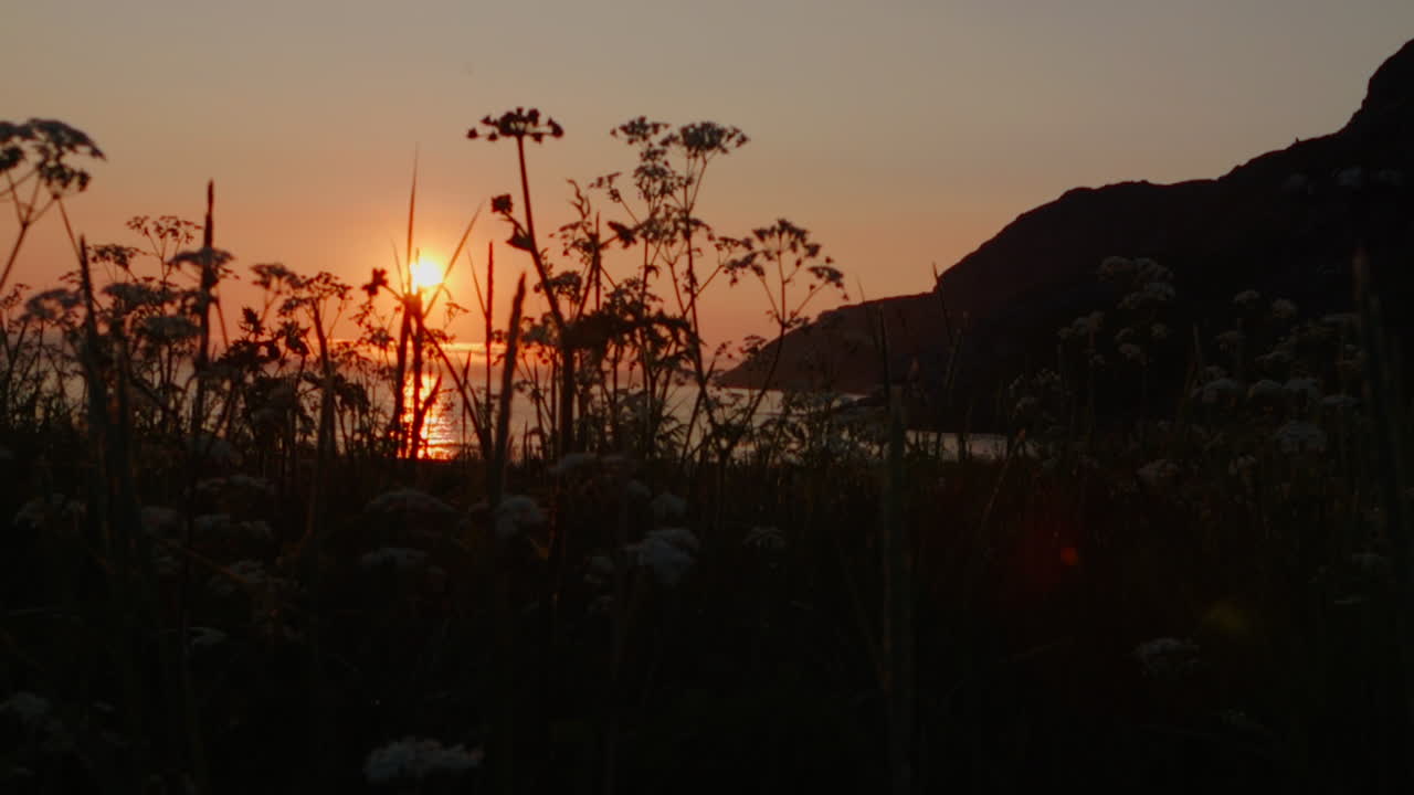 movimiento lento a través de la hierba al atardecer