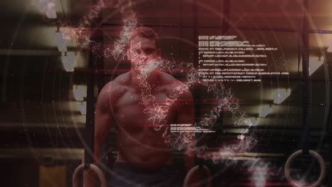 Animation-of-dna-strand-over-strong-man-exercising-in-gym