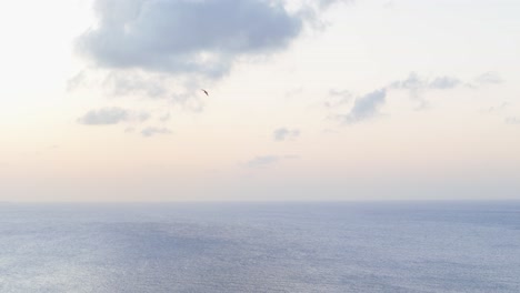 El-Seguimiento-De-Drones-Sigue-A-Un-Ave-Marina-Volando-Sobre-El-Cielo-Color-Pastel-Y-El-Océano-Debajo