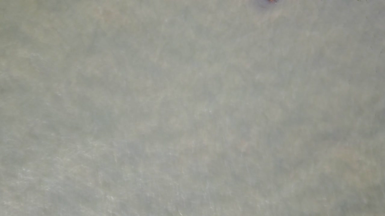 aéreo: olas fangosas en la orilla