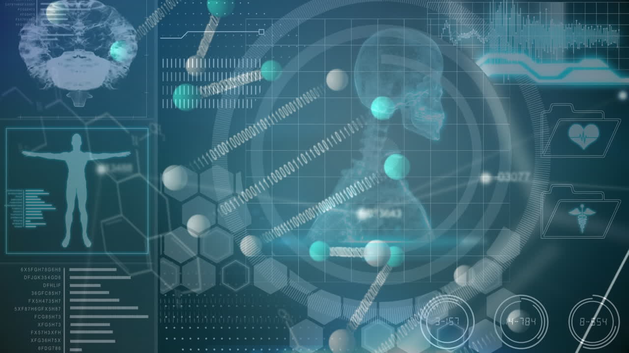 기술과 데이터 프로세싱으로 뇌의 애니메이션