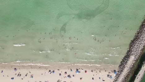 Fischschwärme-Und-Strandbesucher-Genießen-Den-Flachen-Strand-Aus-Der-Vertikalantenne