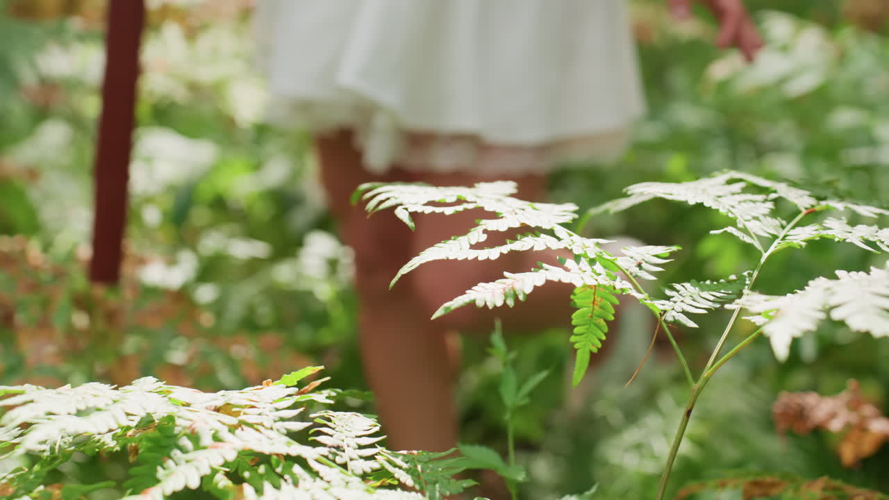 Partial view of lady in white gown standing among green ferns gently touching leaf under warm forest sunlight soft breeze moving dress creating calm natural moment filled with peace