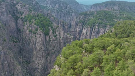 aerial view of a canyon with lush vegetation