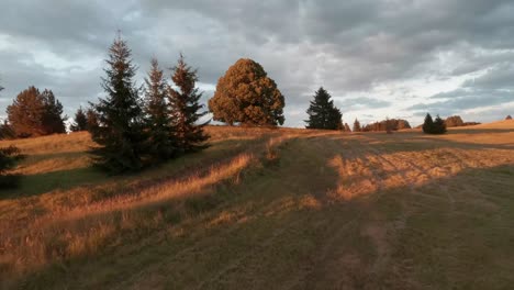 aerial footage from fpv racing drone of a sun lit meadow during a summer sunset