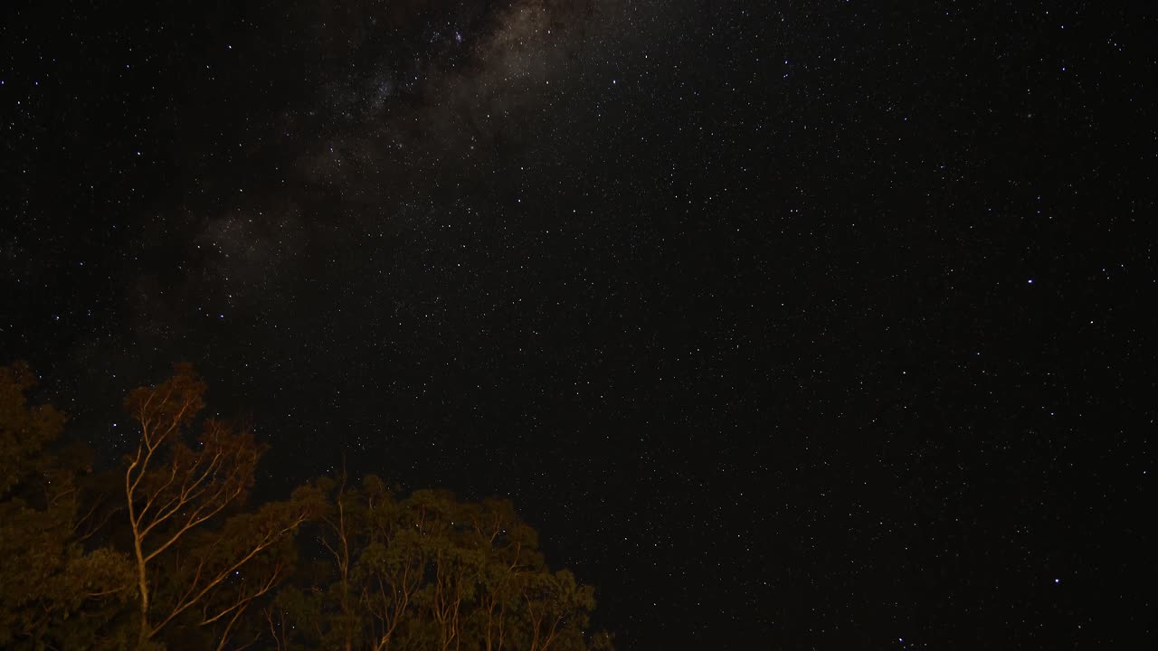 실루 나무 위의 은하계의 타임 라프스