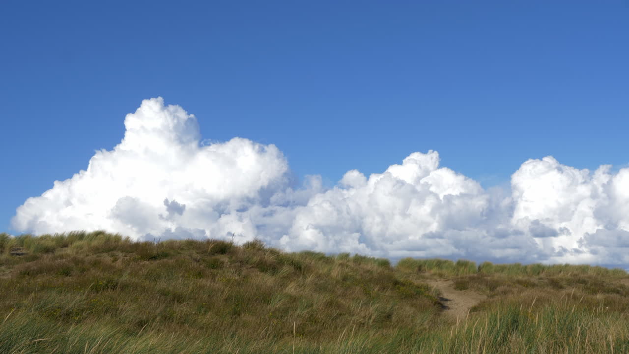 paisaje pacífico con dunas, vegetación de la playa, nubes cumulus en el cielo azul