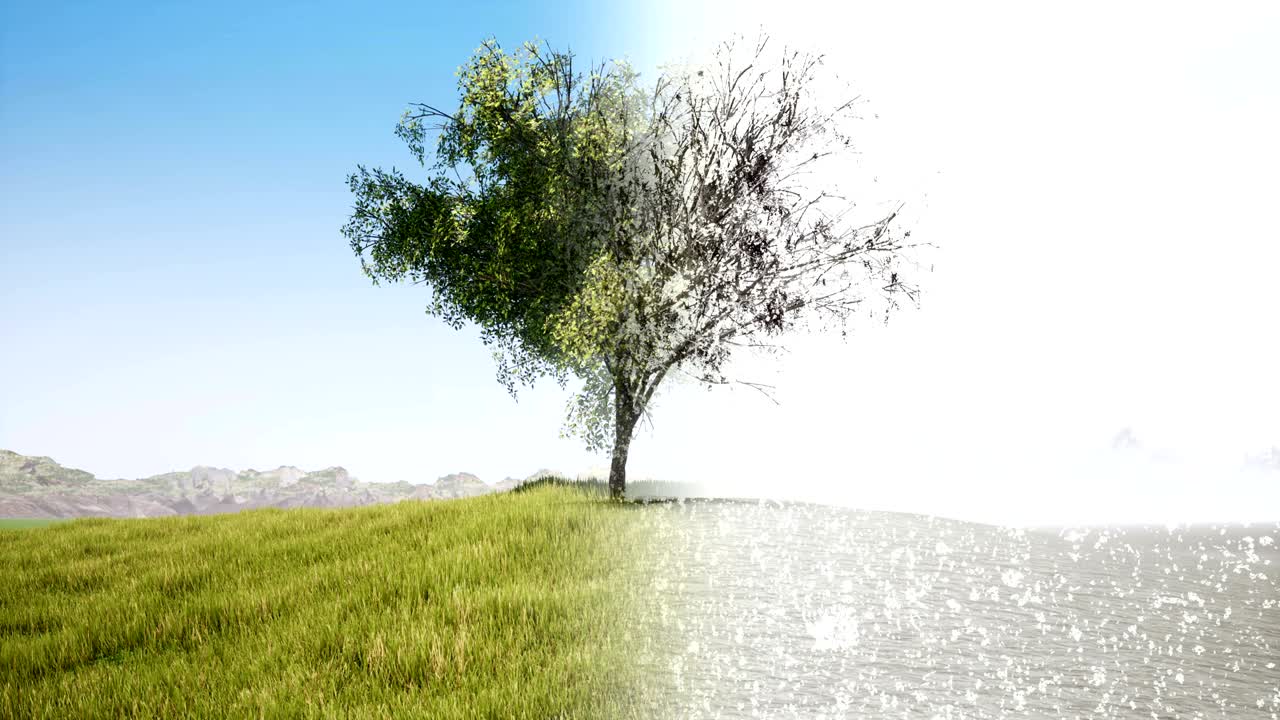 여름과 겨울의 풍경 3d 현실적인 영상. 계절, 연도, 변화하는 개념, 원활한 애니메이션, 추운 날씨와 따뜻한 날씨, 봄의 자연, 내리는 눈과 외로운 나무, 필드 루프 비디오